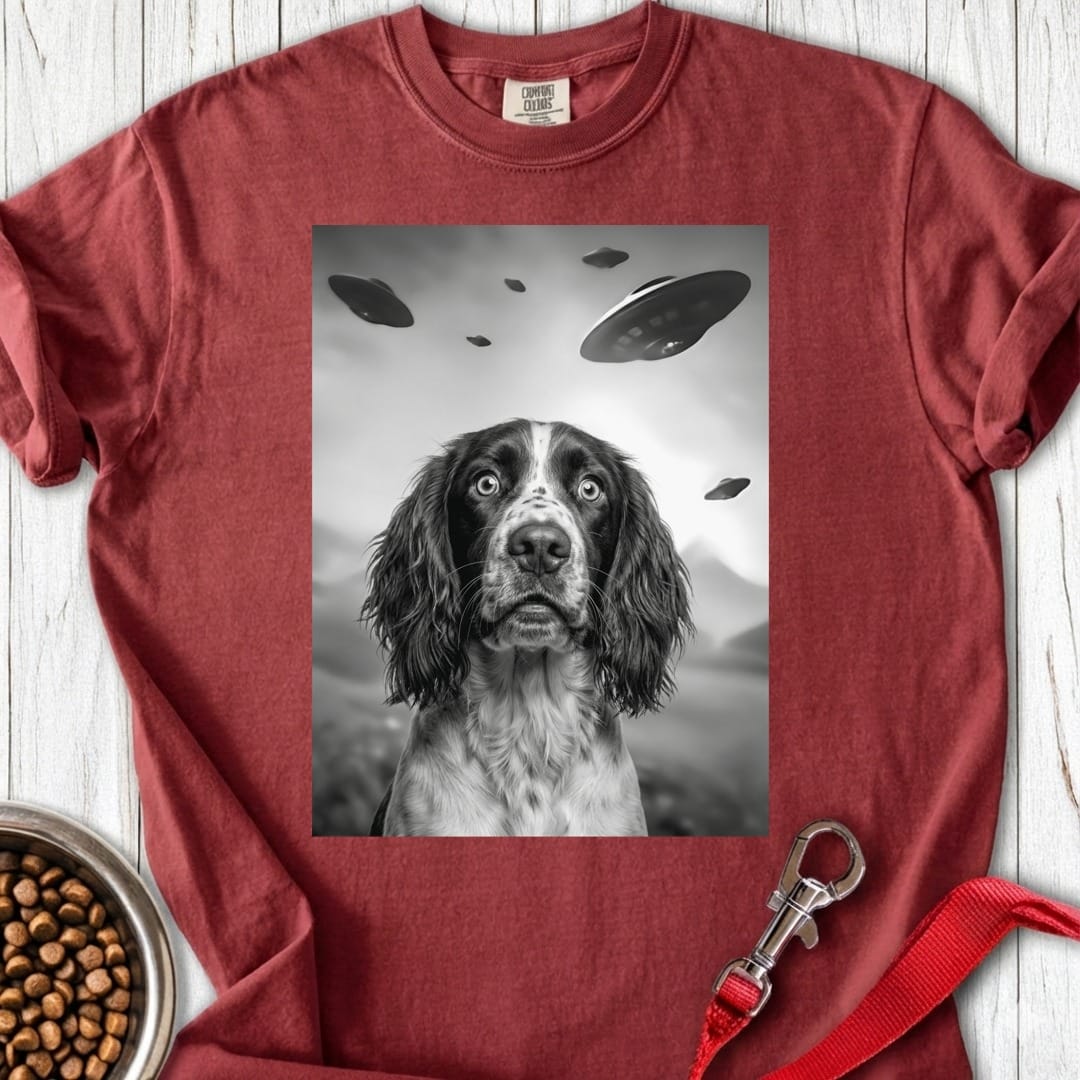 Springer Spaniel UFO Premium Tee Brick