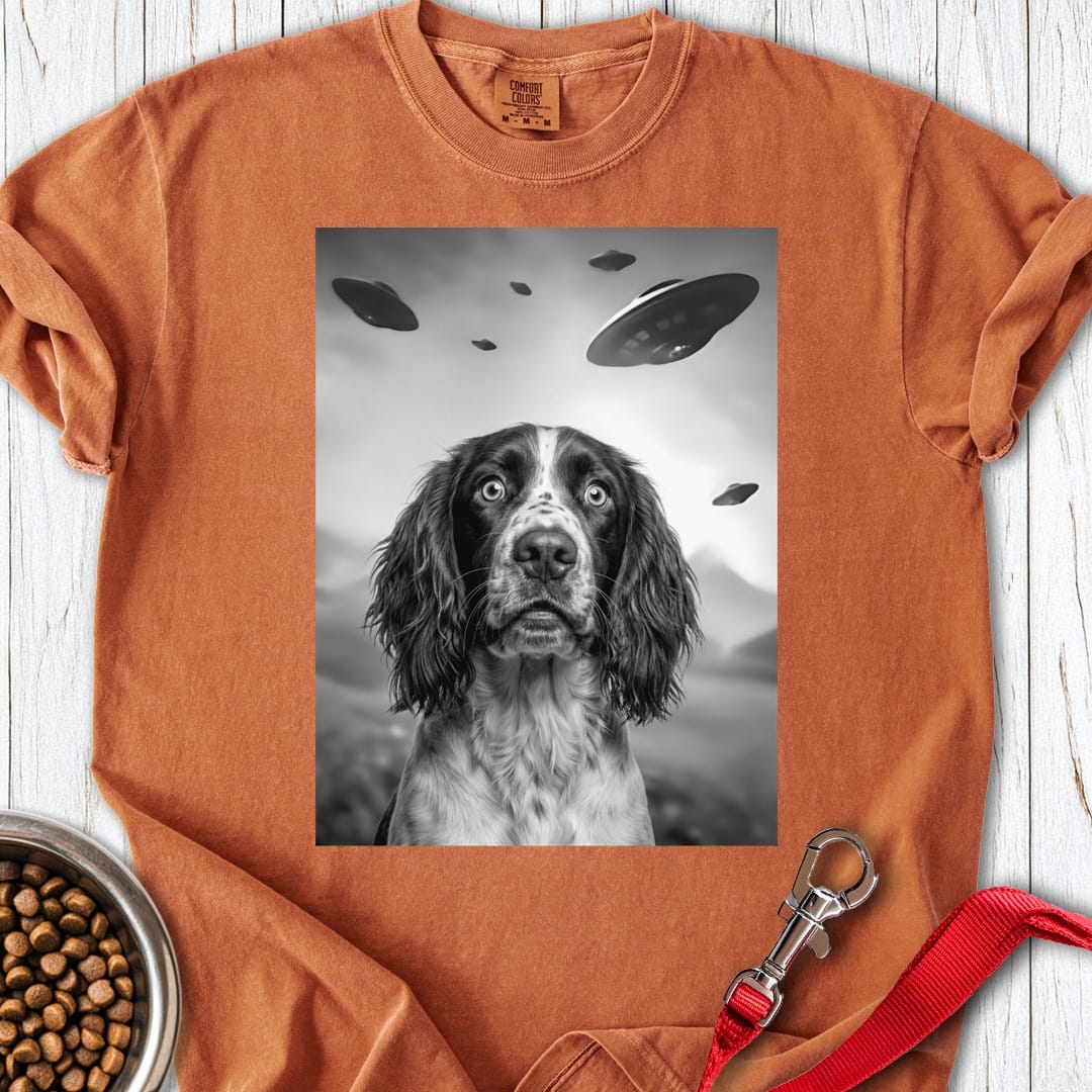 Springer Spaniel UFO Premium Tee Yam