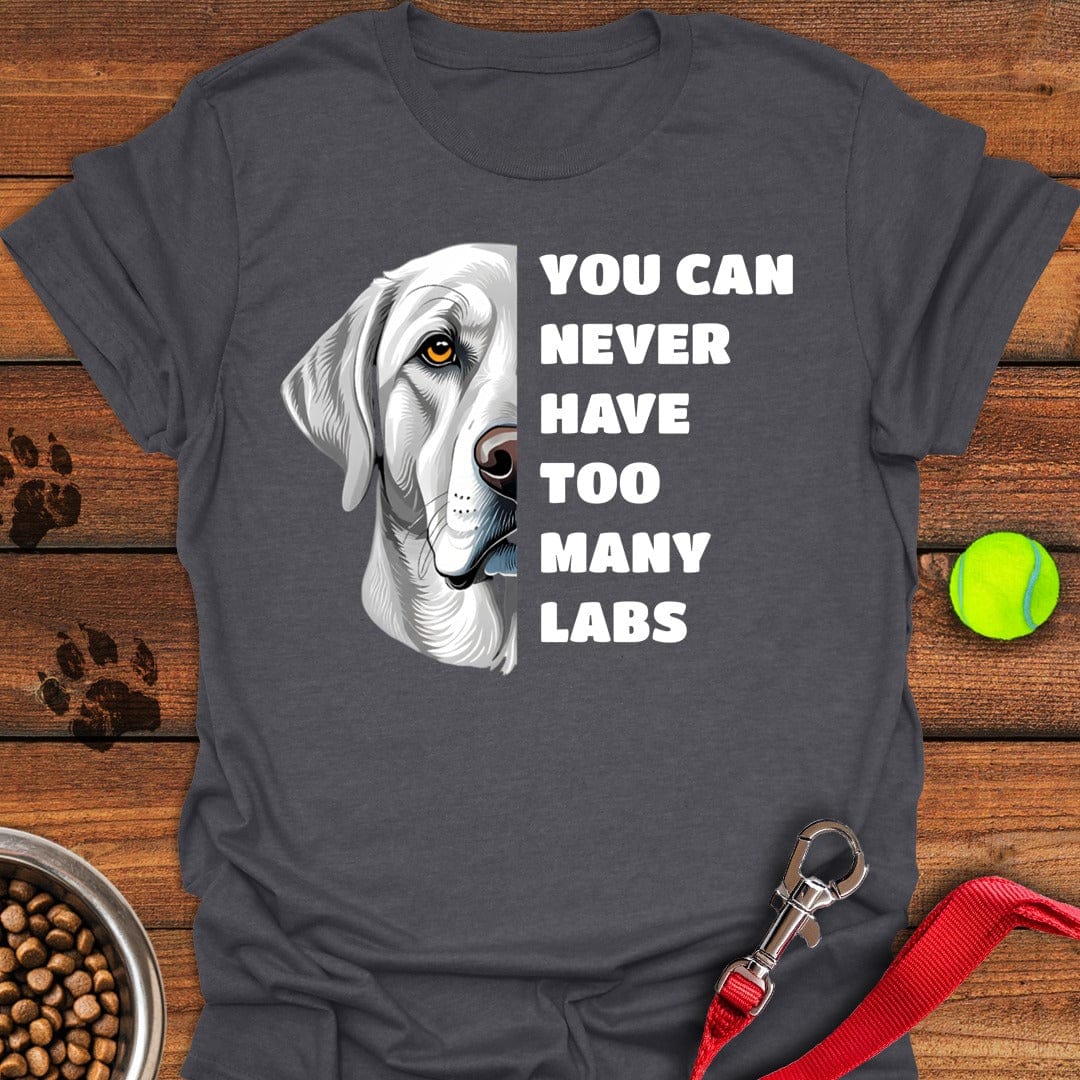 Too Many Silver Labs Dark Heather