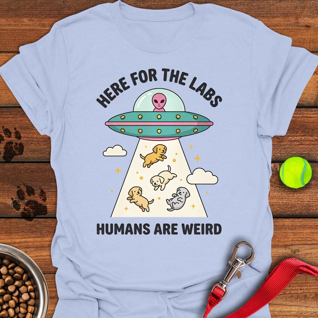 UFO Labradors Light Blue