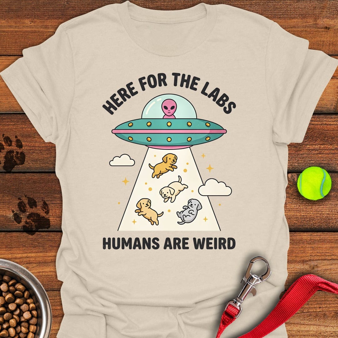 UFO Labradors Natural