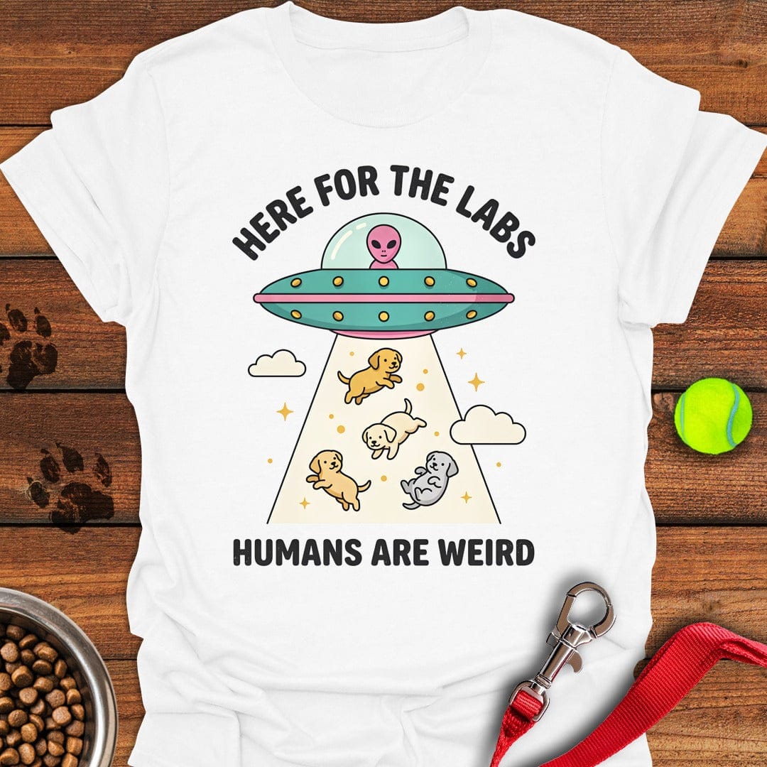 UFO Labradors White