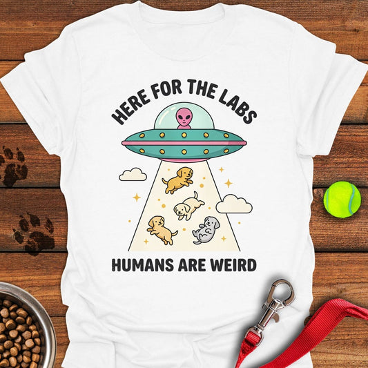 UFO Labradors White