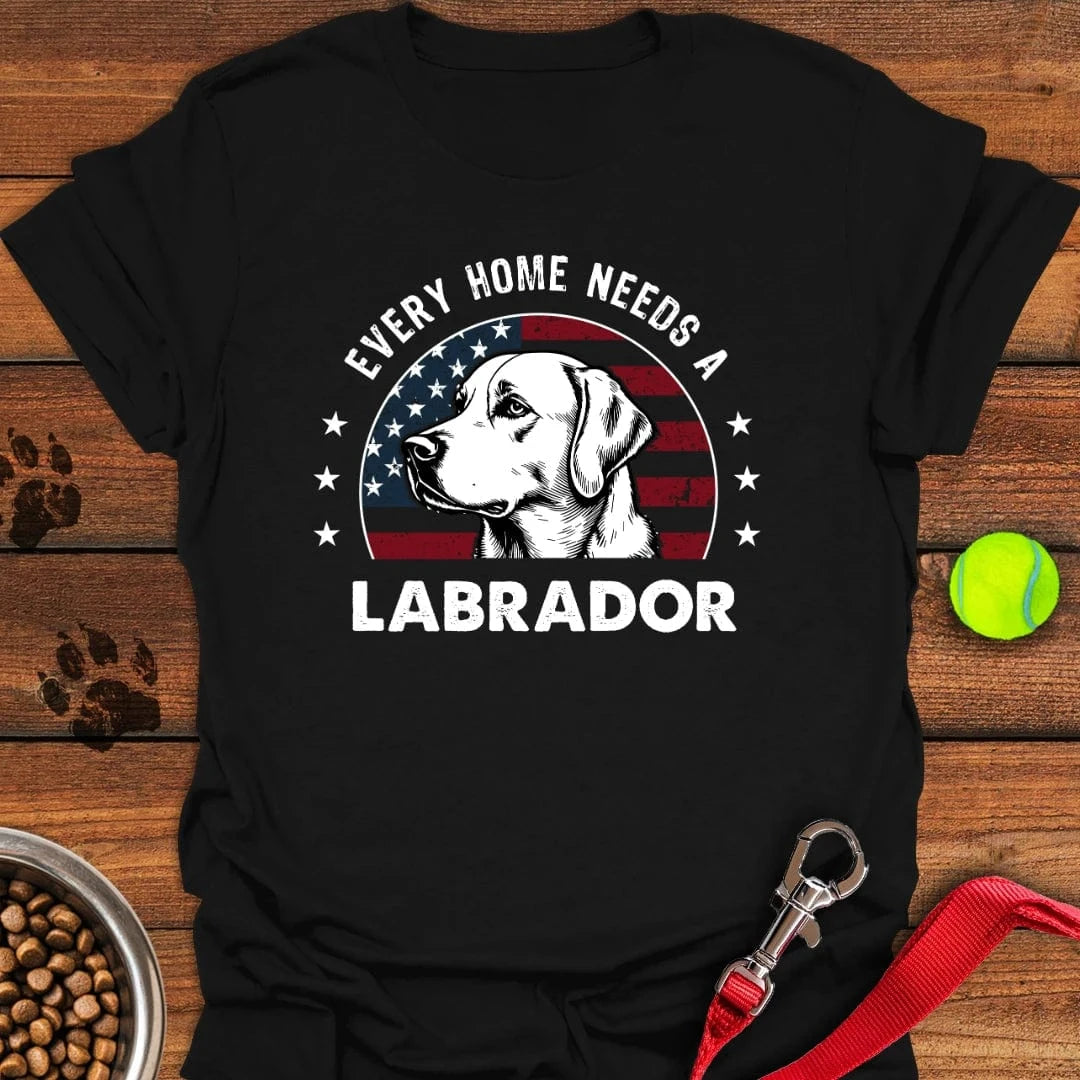 Every Home Needs a Labrador Black