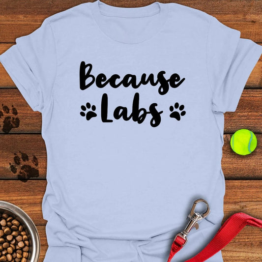 Because Labs T-Shirt Light Blue