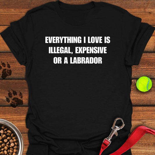 Everything I Love Labrador T-Shirt Black
