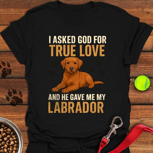 Fox Red Labrador Love T-Shirt Black