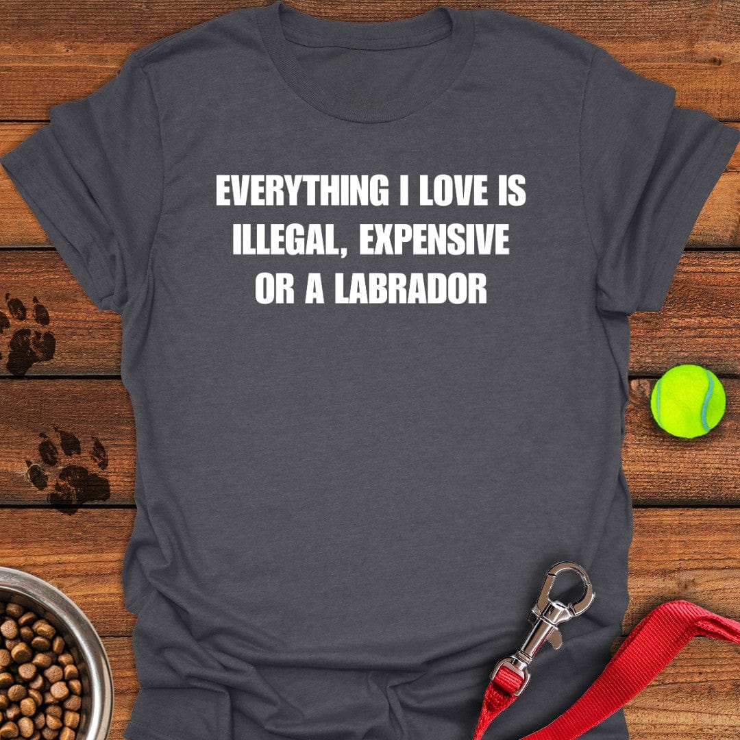 Everything I Love Labrador T-Shirt Dark Heather