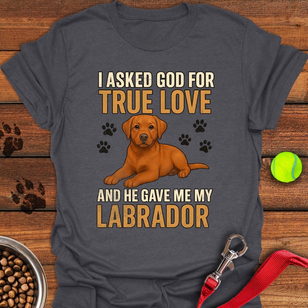 Fox Red Labrador Love T-Shirt Dark Heather