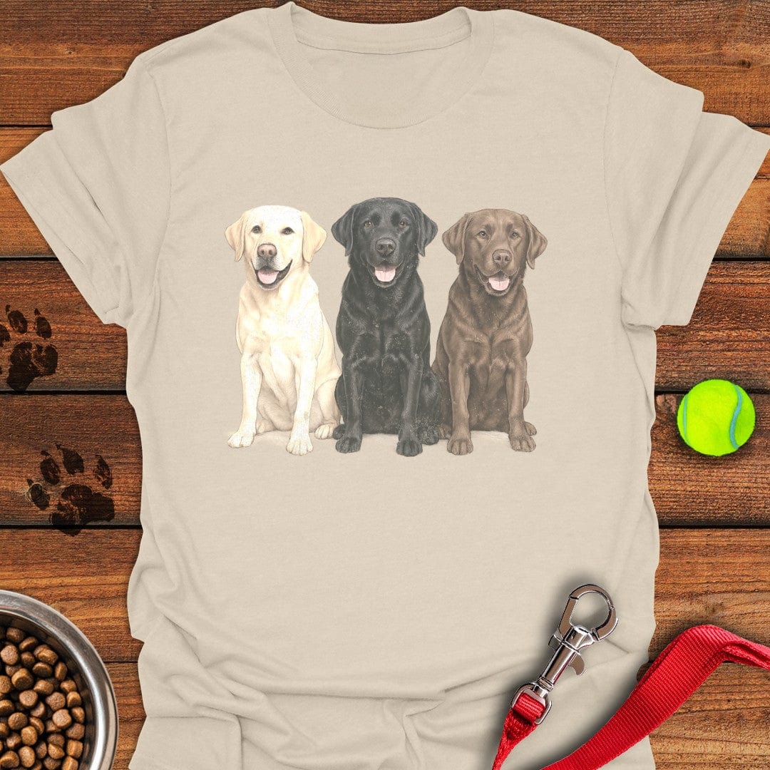 Multi-color Labs Faded T-Shirt Natural