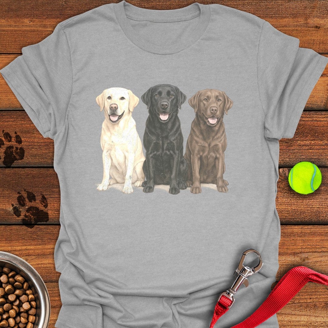 Multi-color Labs Faded T-Shirt Sport Grey