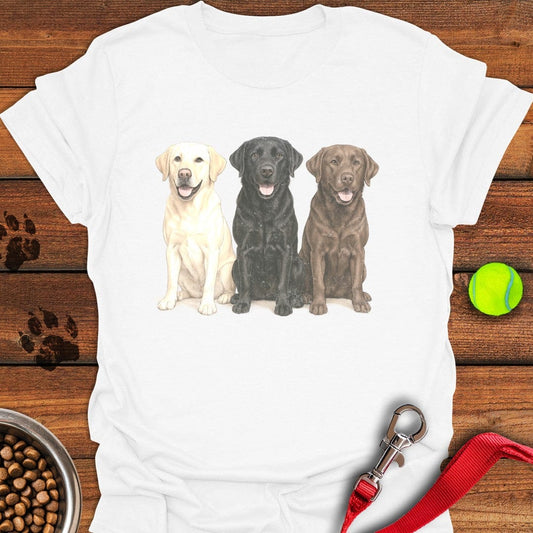 Multi-color Labs Faded T-Shirt White