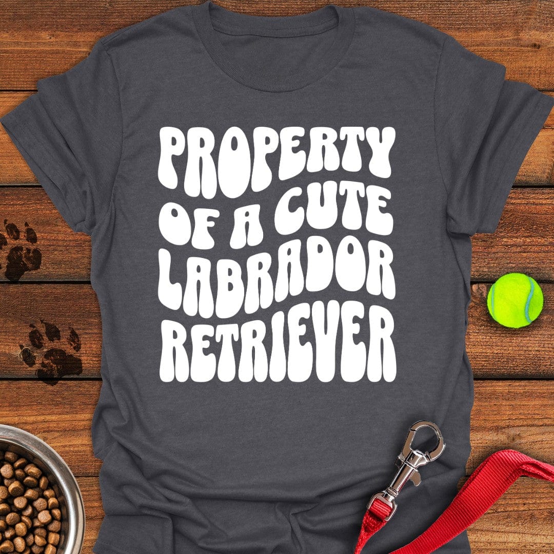 Property of a Cute Labrador T-Shirt Dark Heather