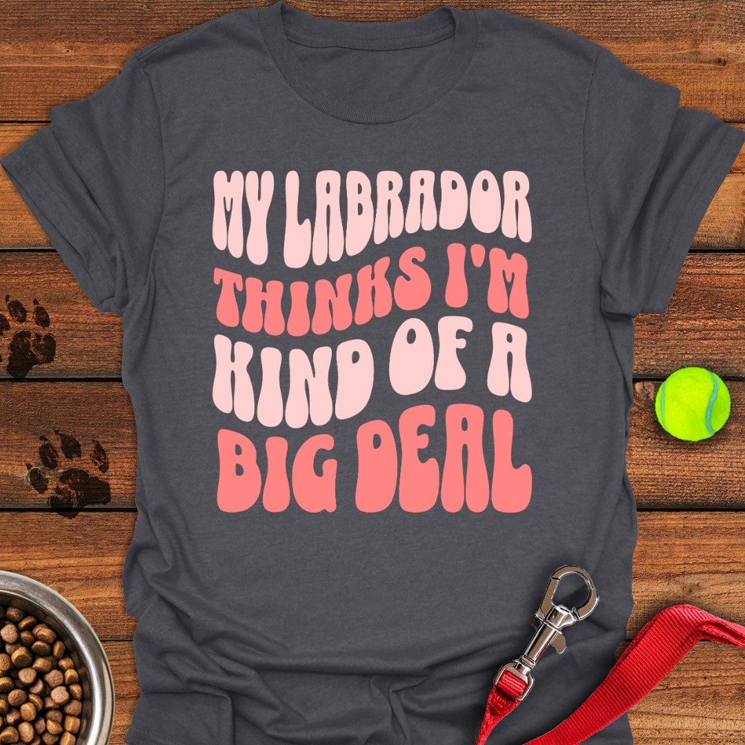 Labrador Big Deal T-Shirt Dark Heather