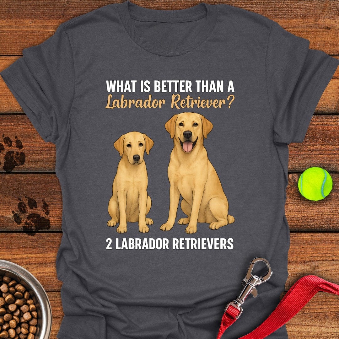 What's Better Than a Labrador? Tee Dark Heather
