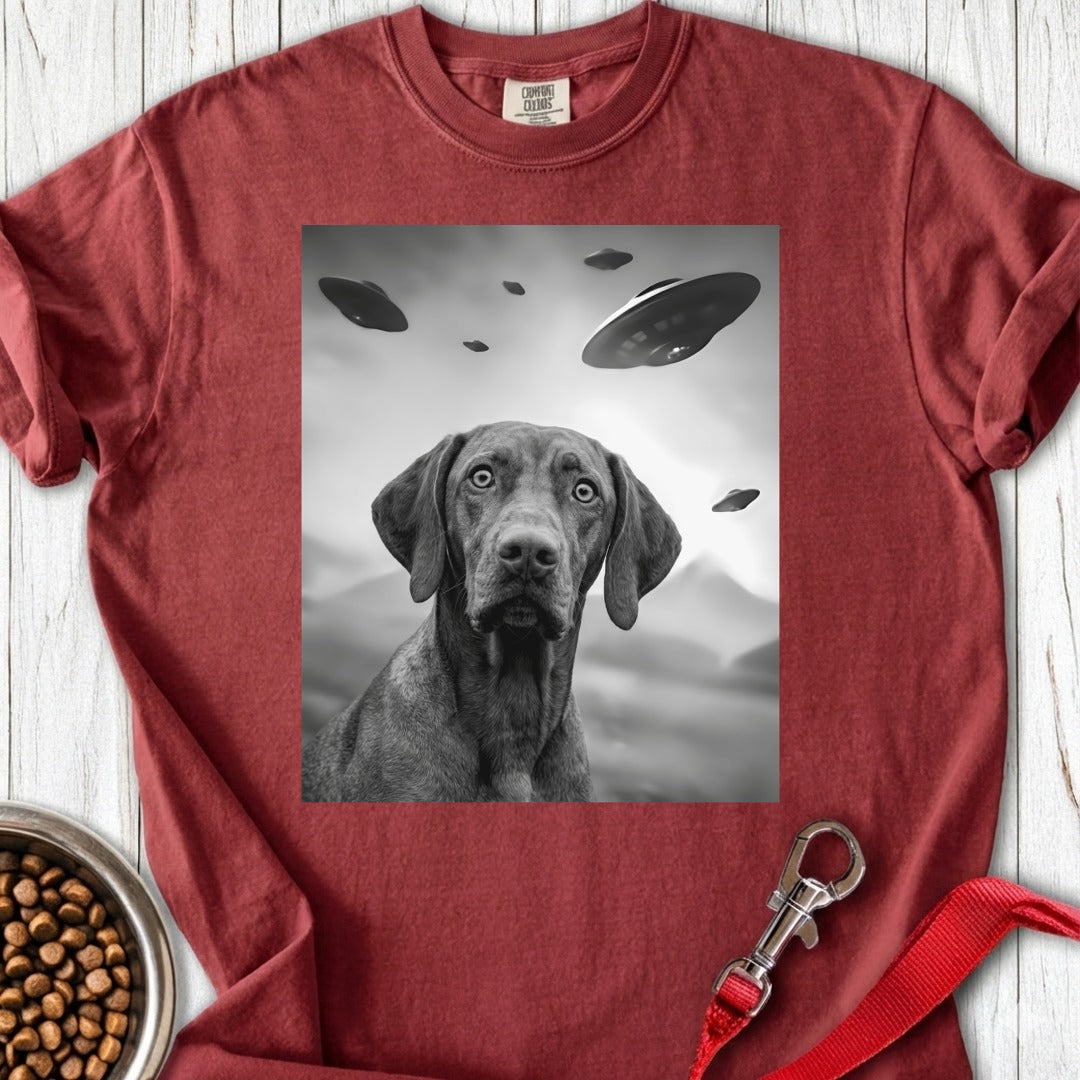 custom-mockup