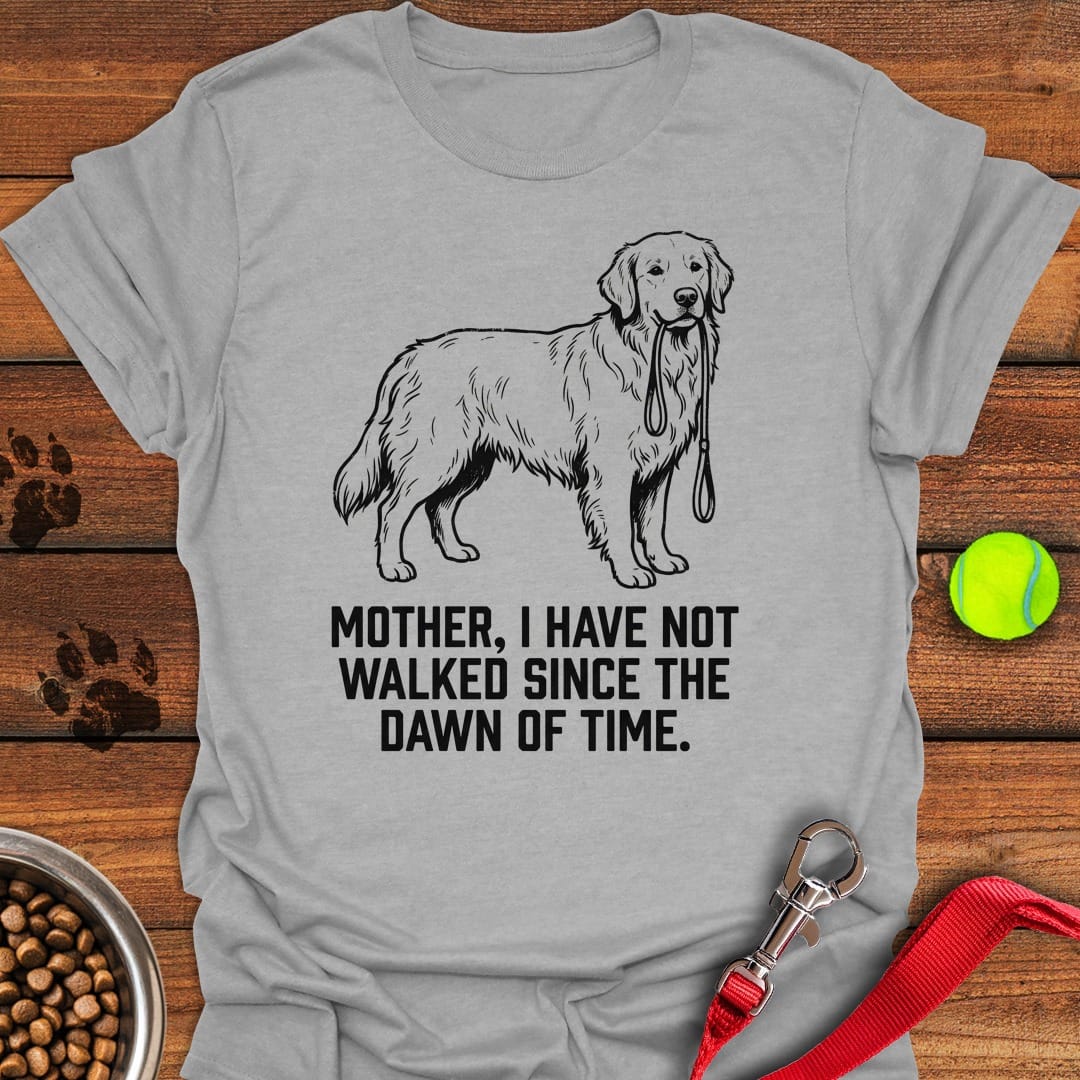Walking Goldie Sport Grey
