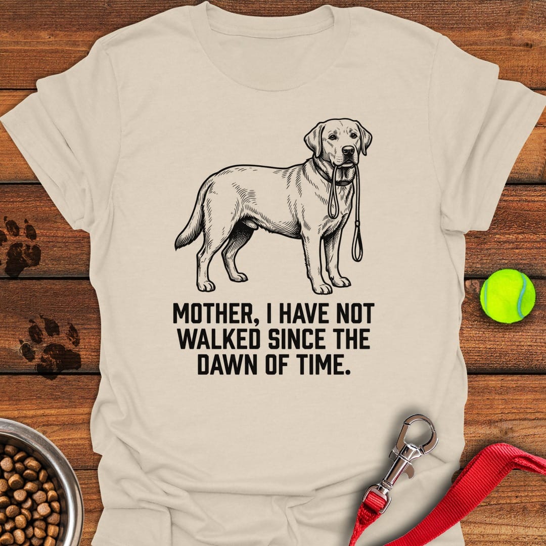 Walking Labrador Natural