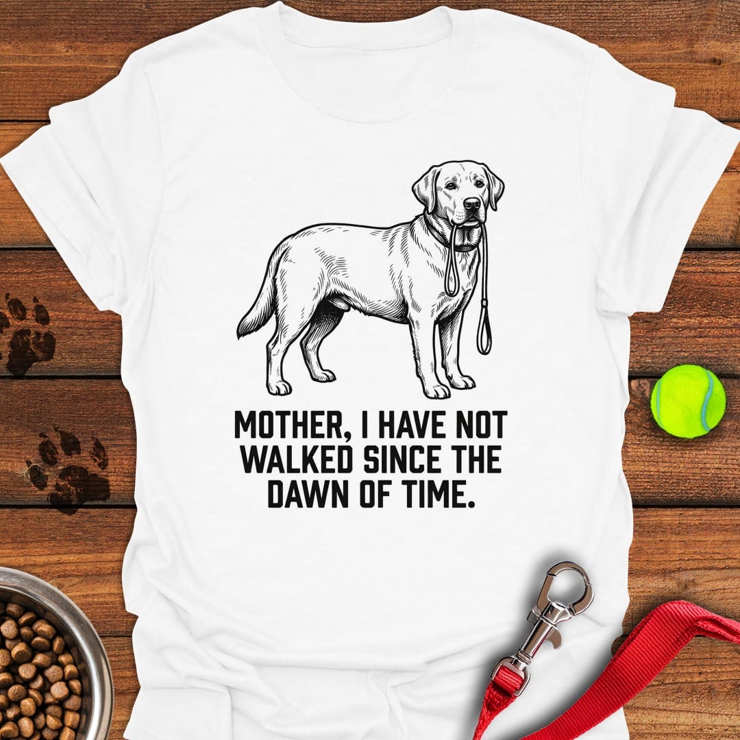 Walking Labrador White