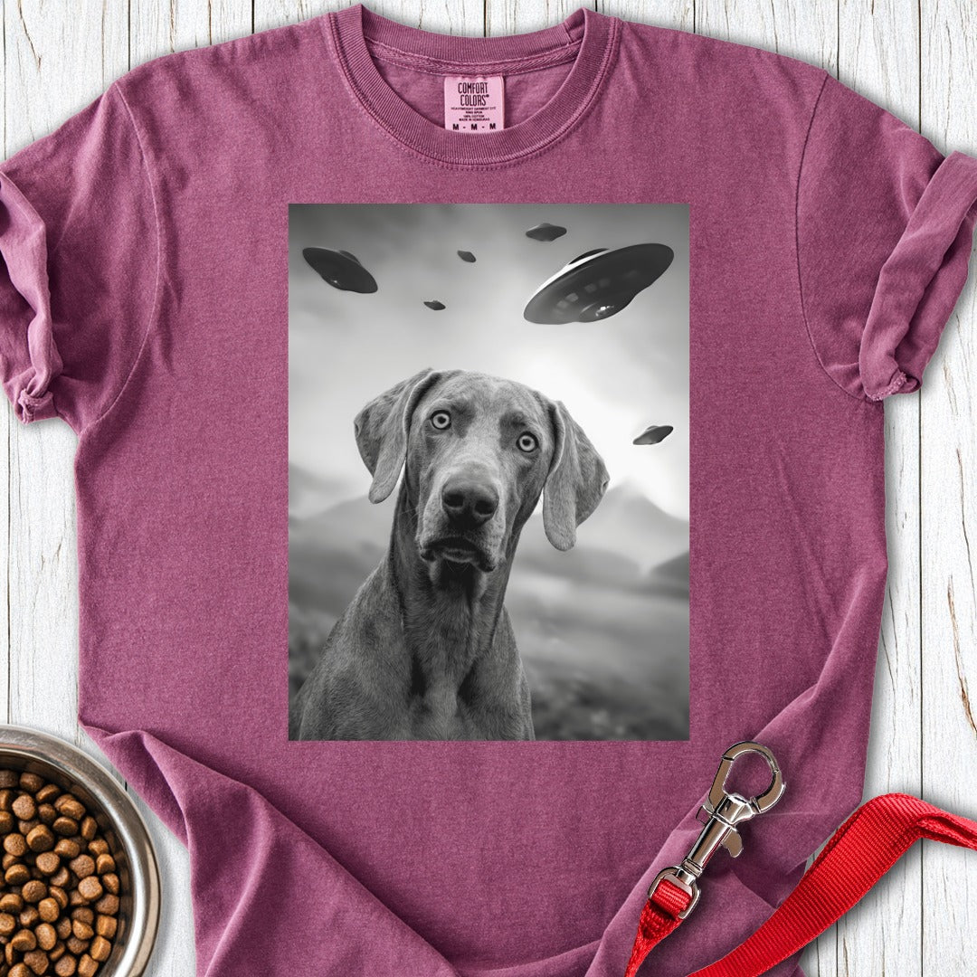 custom-mockup