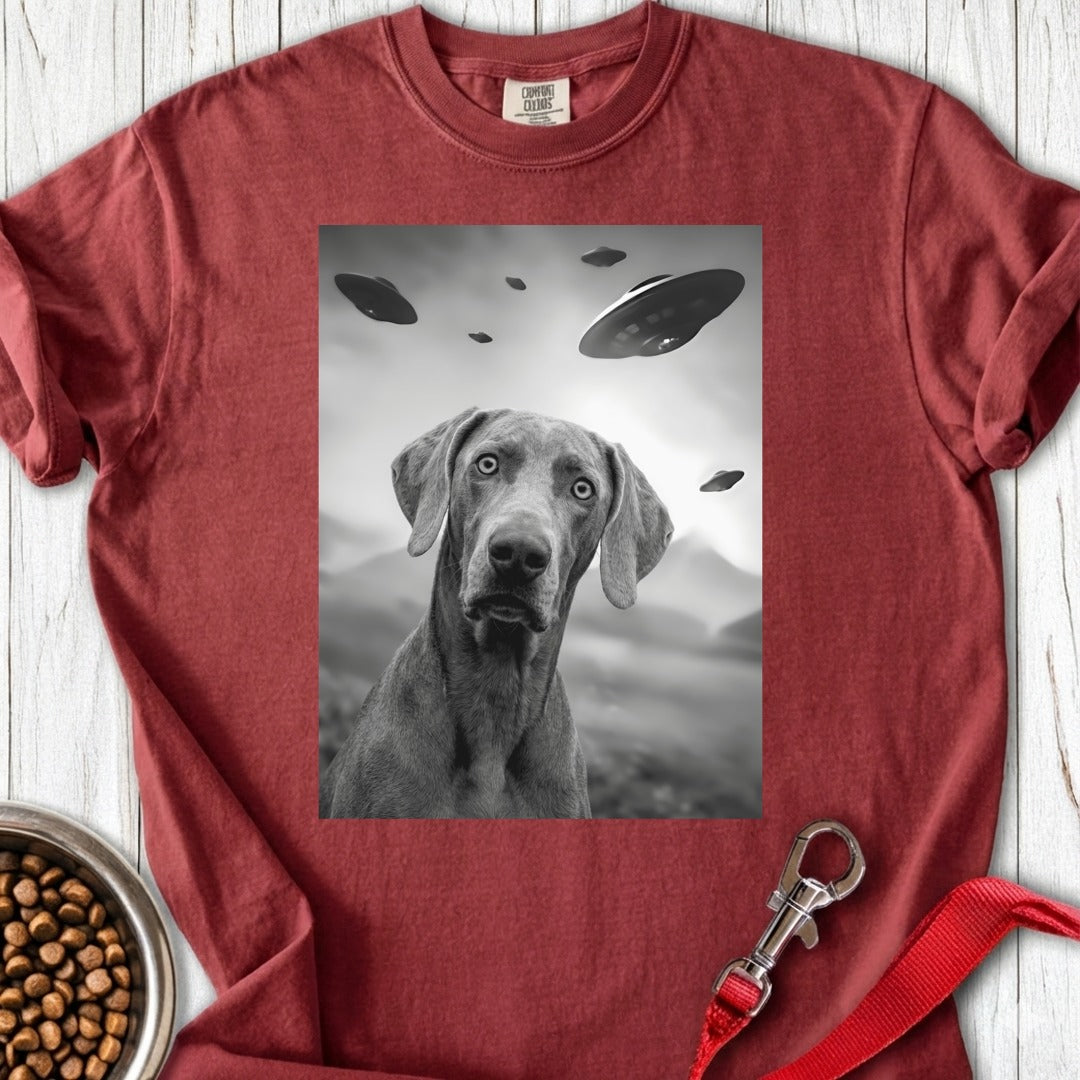 custom-mockup
