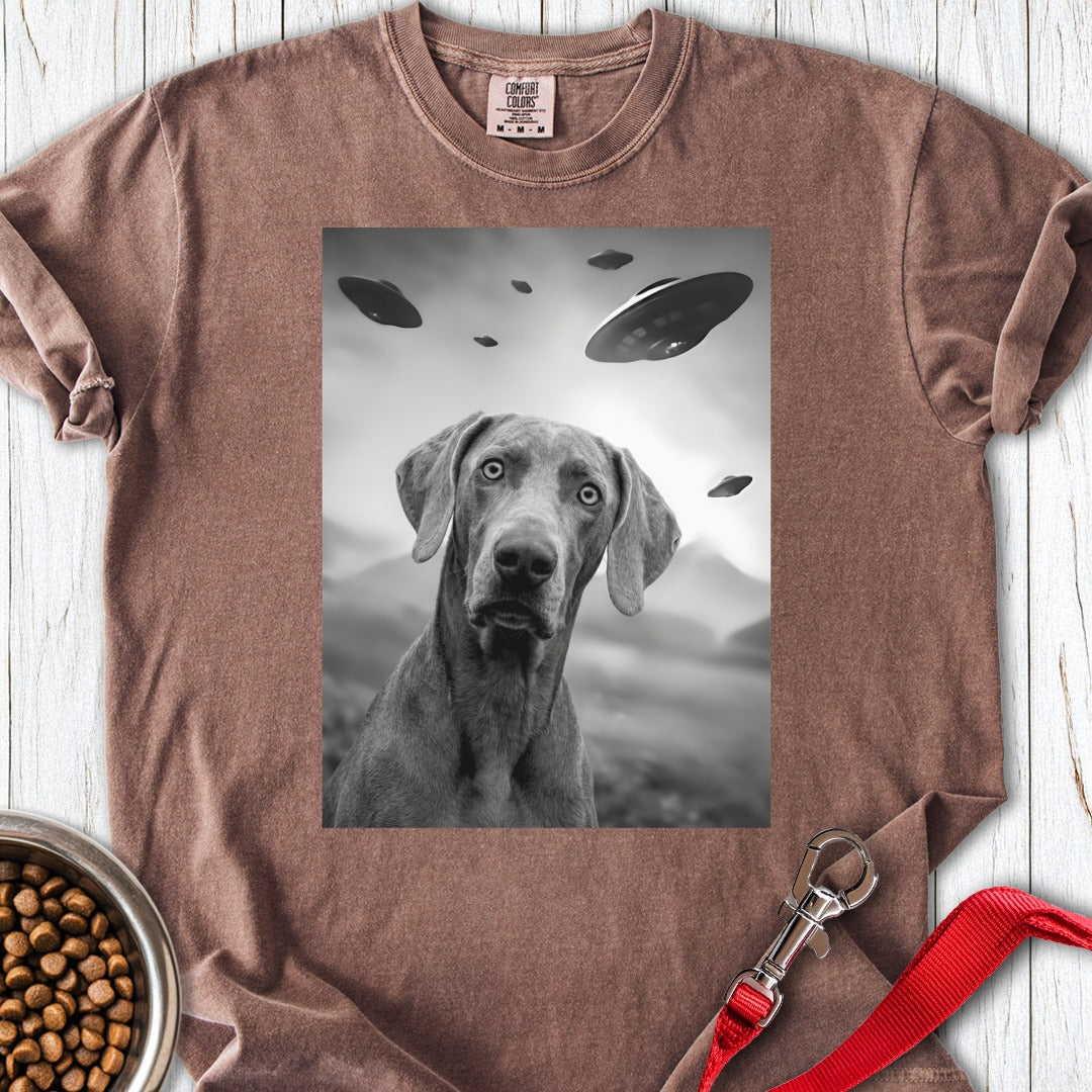 custom-mockup