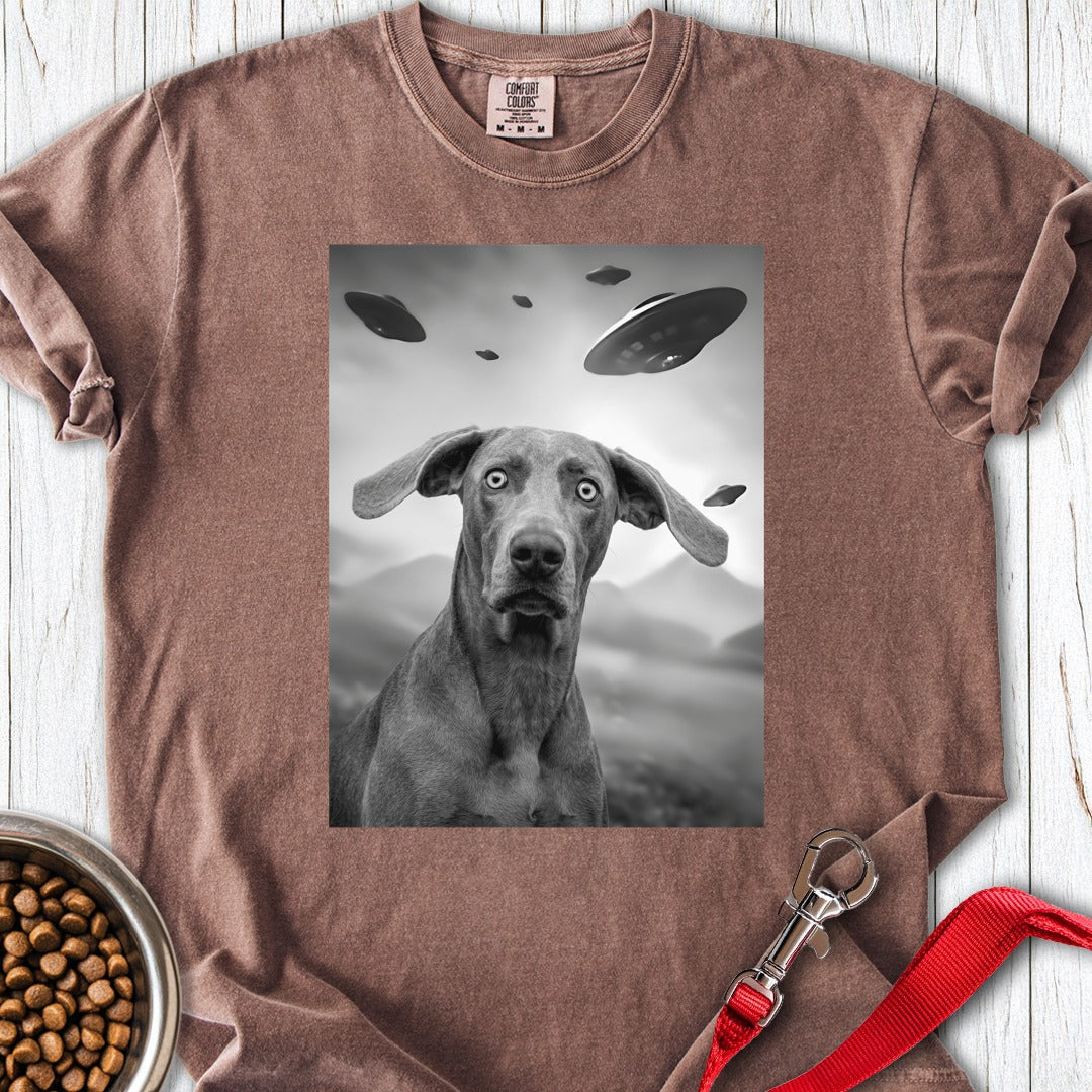 custom-mockup