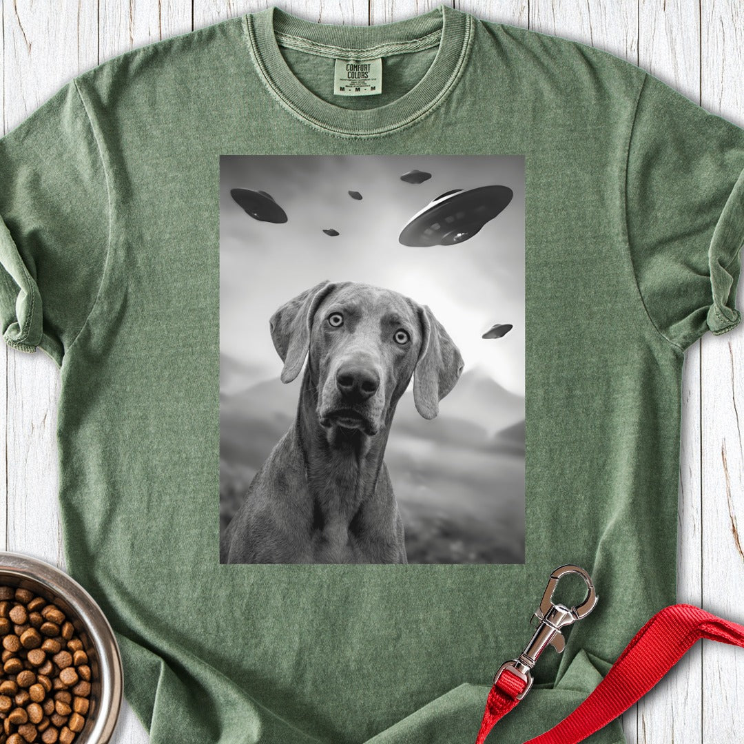 custom-mockup