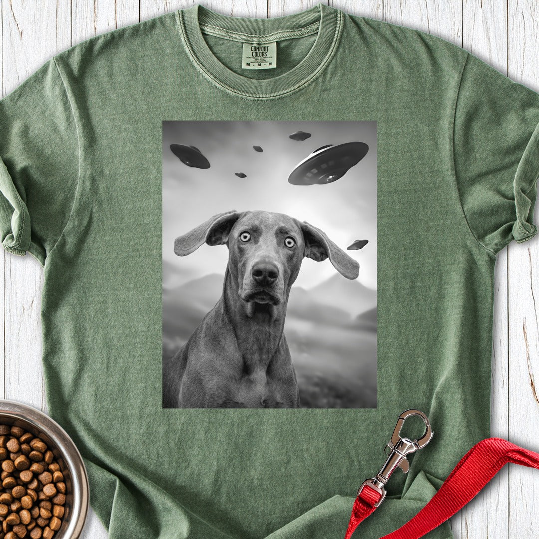 custom-mockup