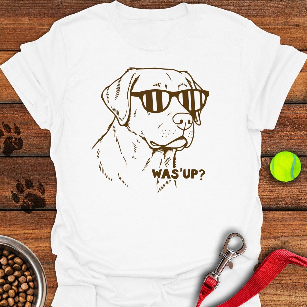 What's Up Labrador White