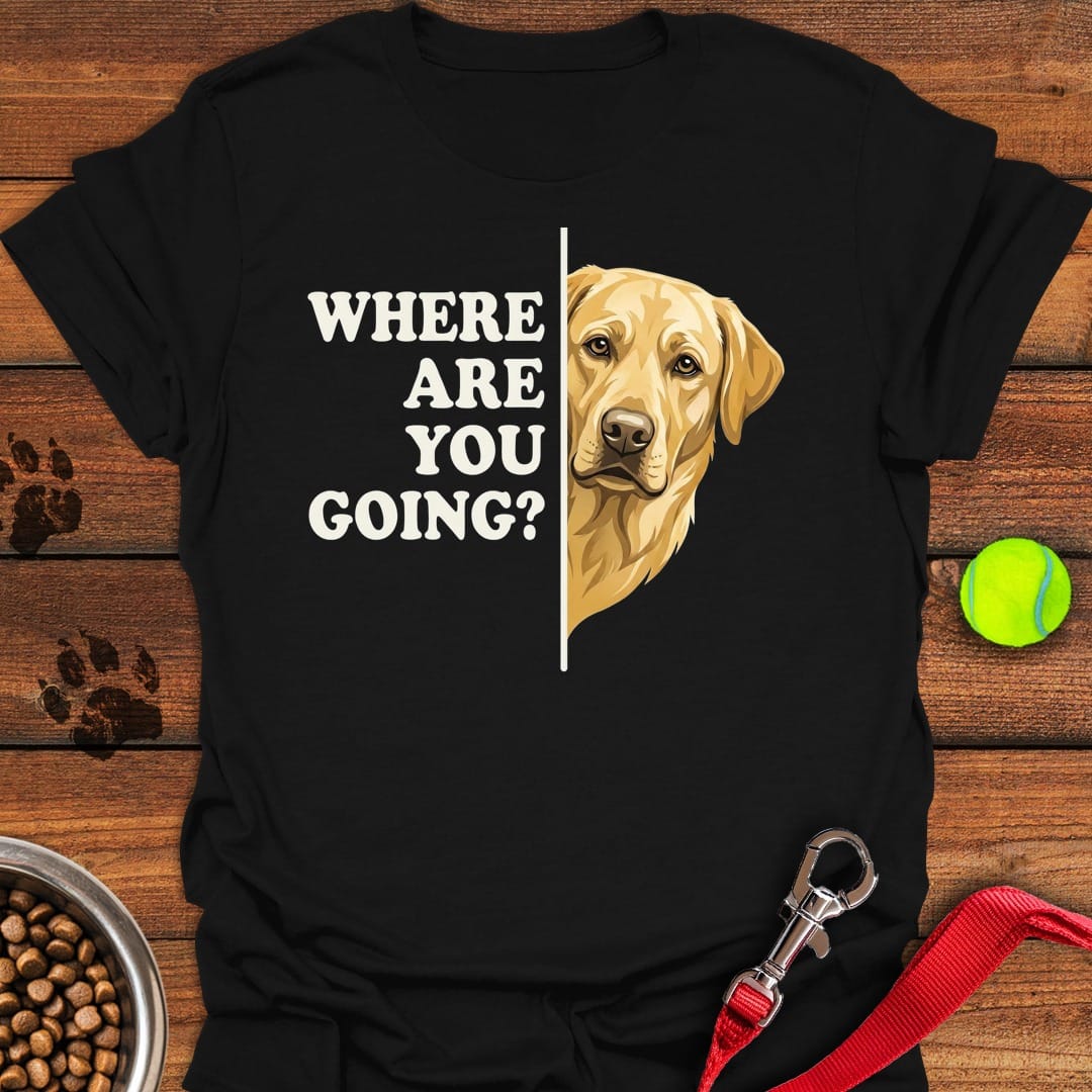 Yellow Lab Following Black