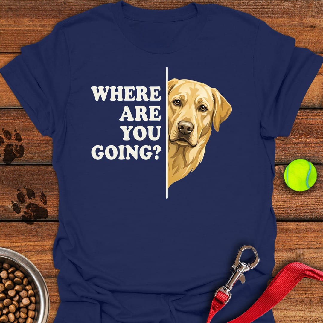 Yellow Lab Following Navy