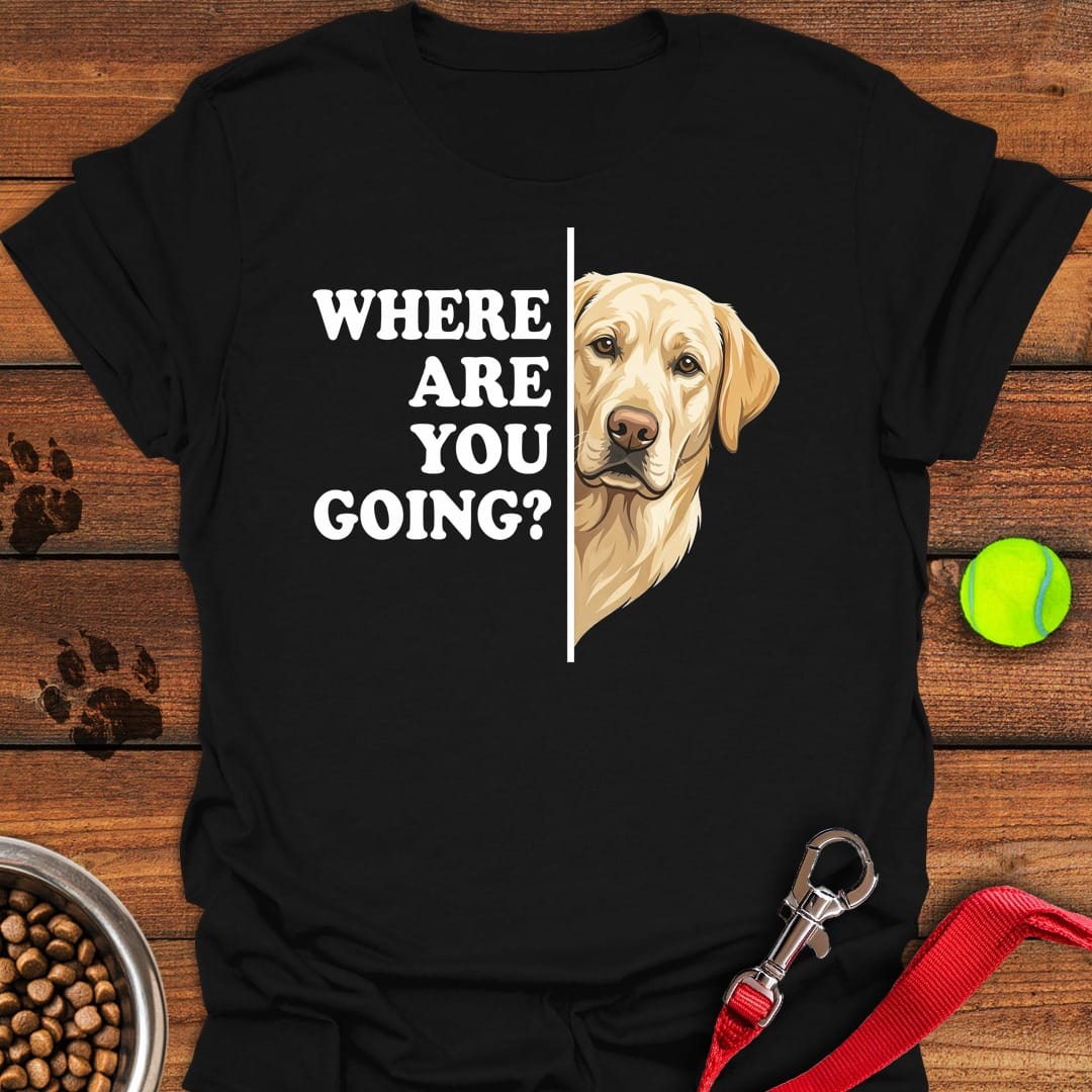 Yellow Labrador Following Black