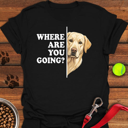 Yellow Labrador Following Black