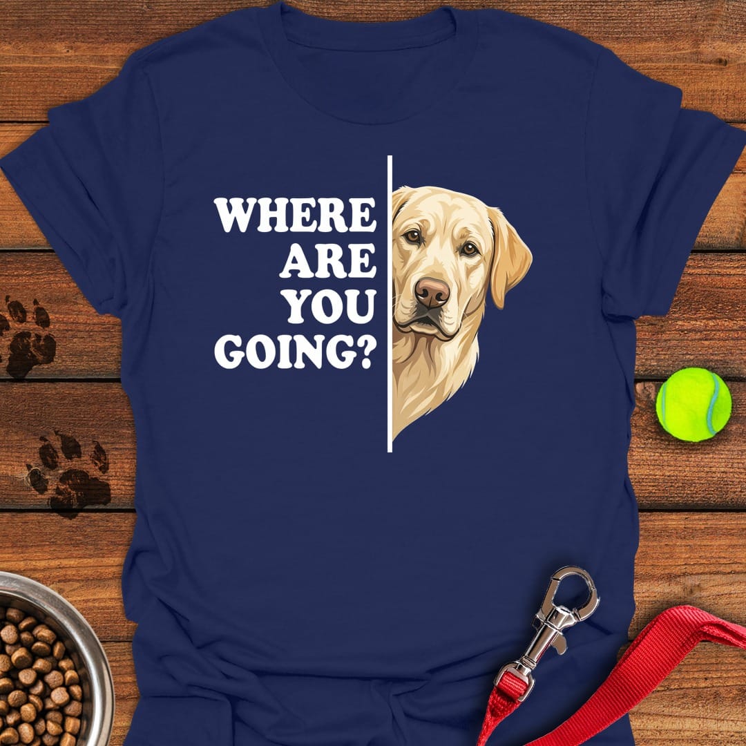 Yellow Labrador Following Navy