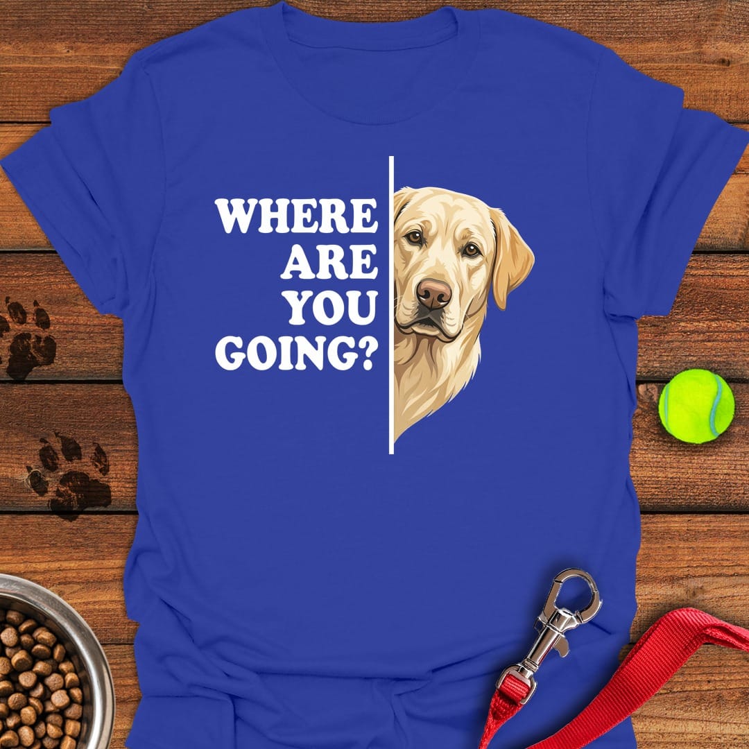 Yellow Labrador Following Royal