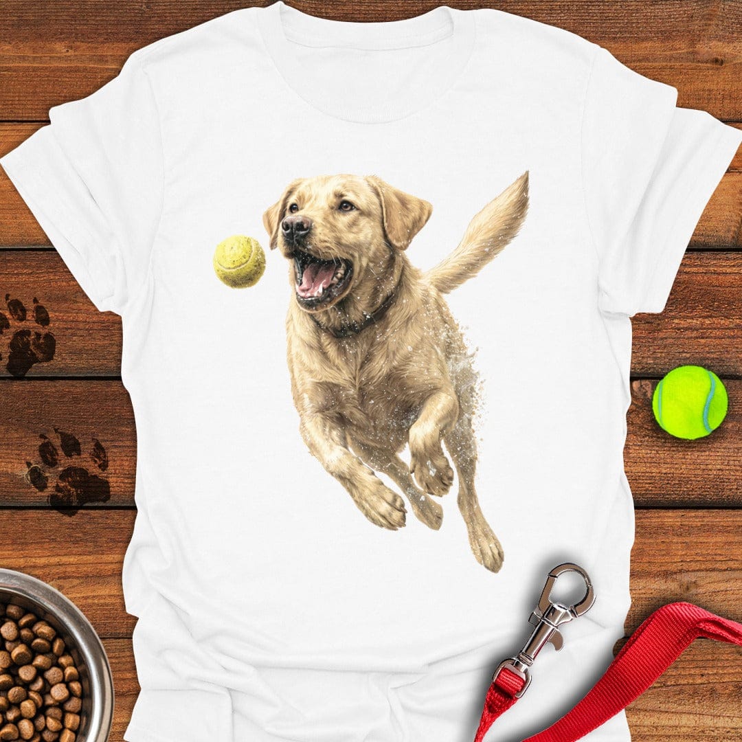 Yellow Labrador Running White