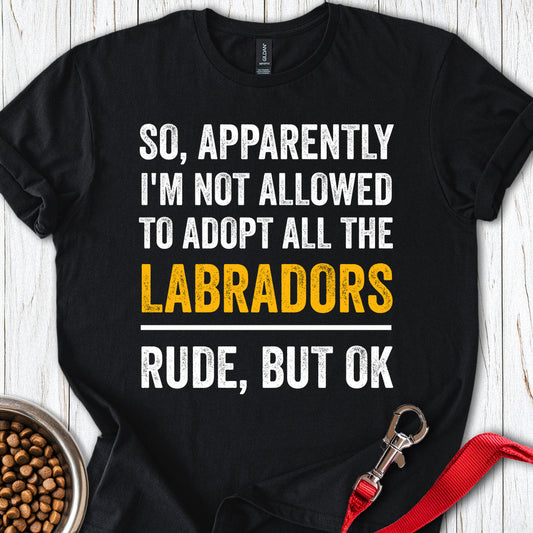 Adopt Labradors Black