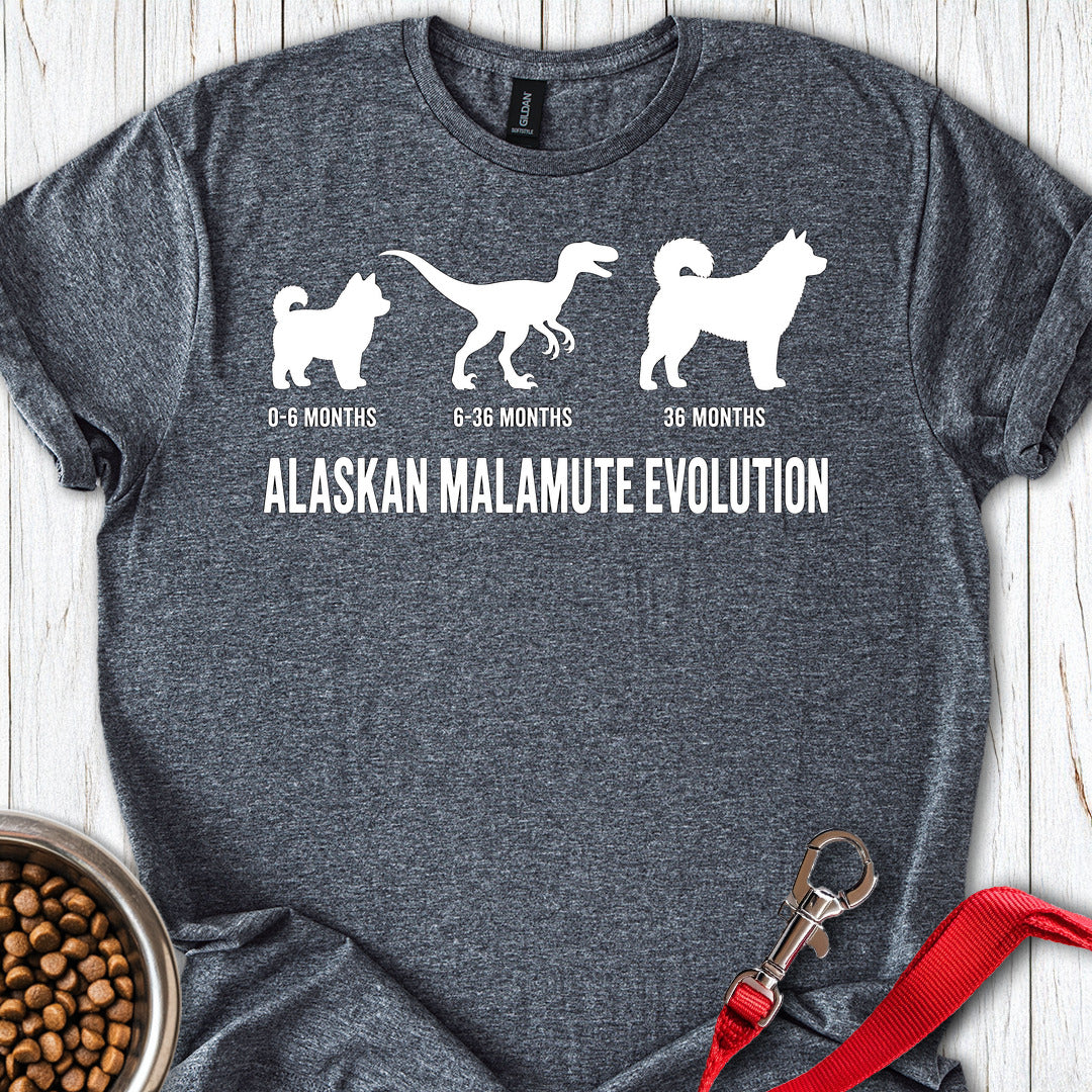 Alaskan Malamute Evolution — Dark Heather