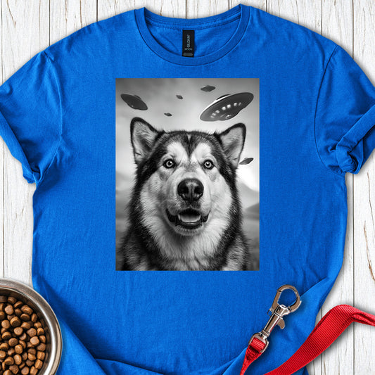 Alaskan Malamute UFO Royal