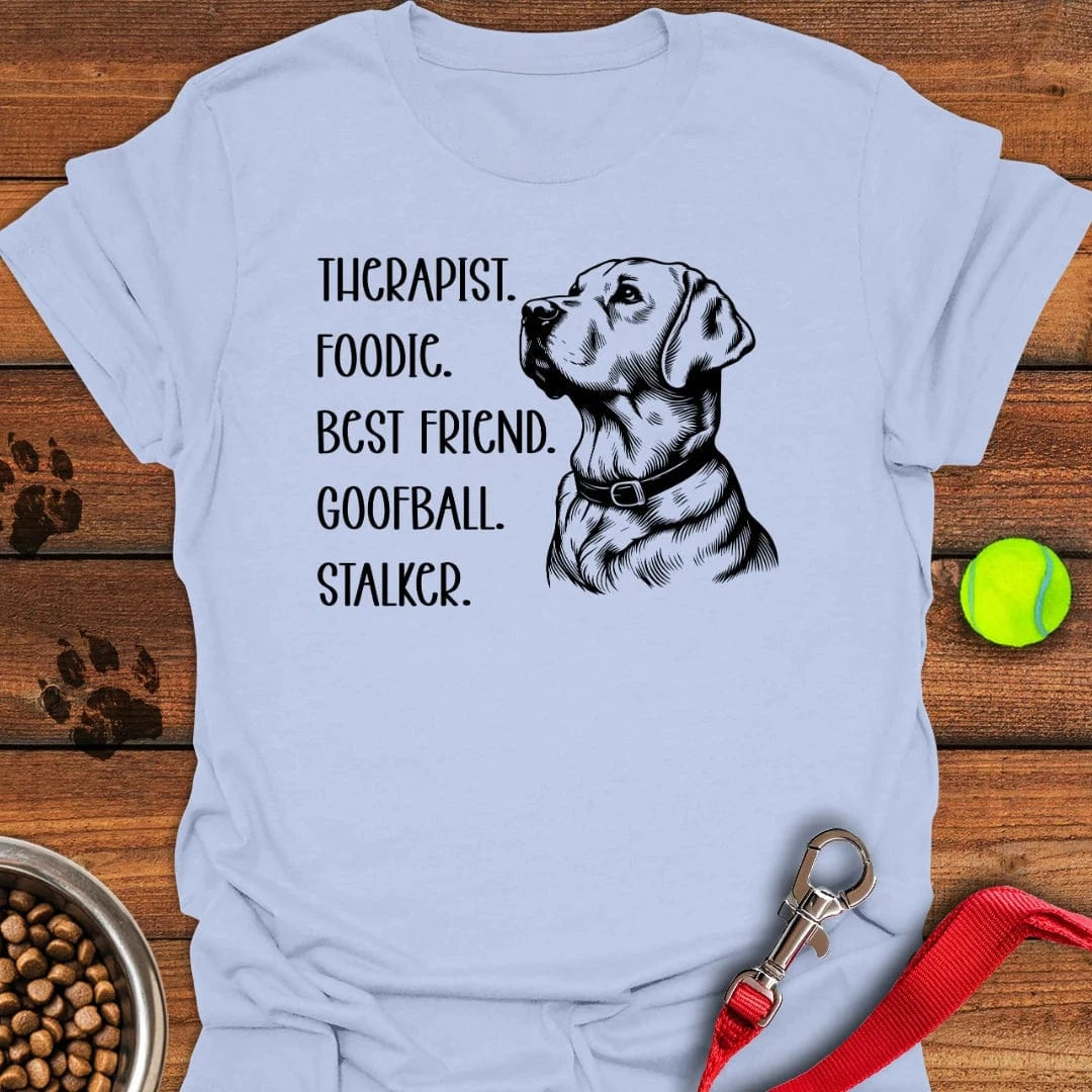 Funny Labrador Titles T-Shirt Light Blue