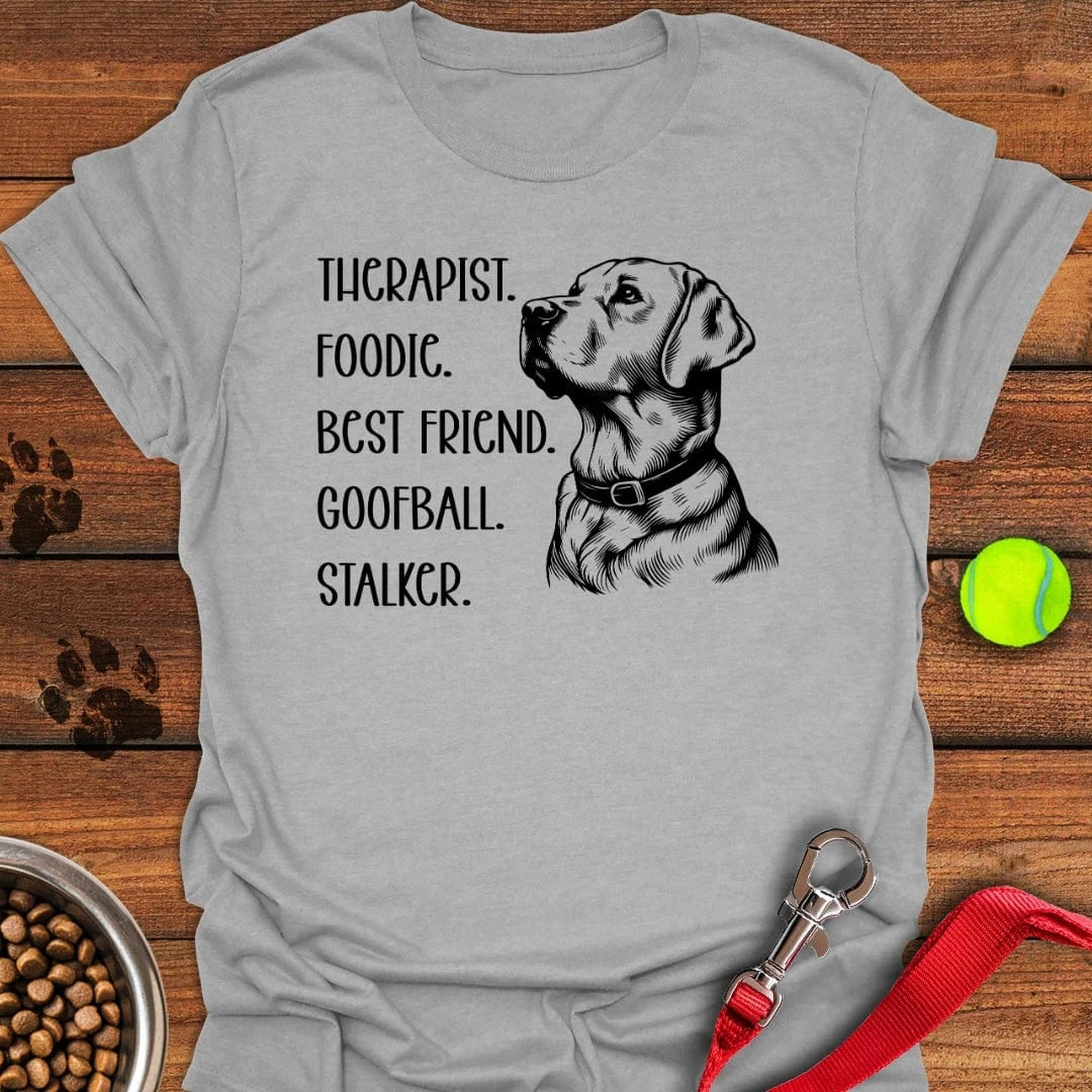 Funny Labrador Titles T-Shirt Sport Grey