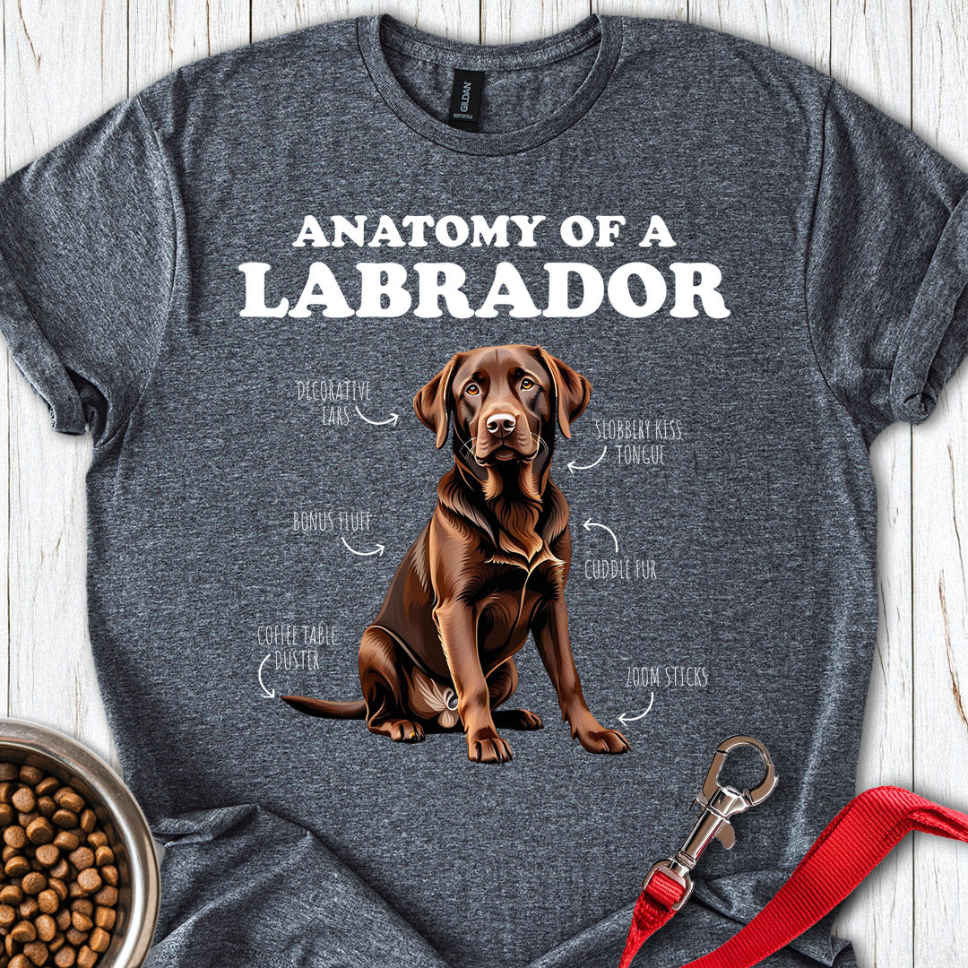 Anatomy Of A Brown Labrador Dark Heather