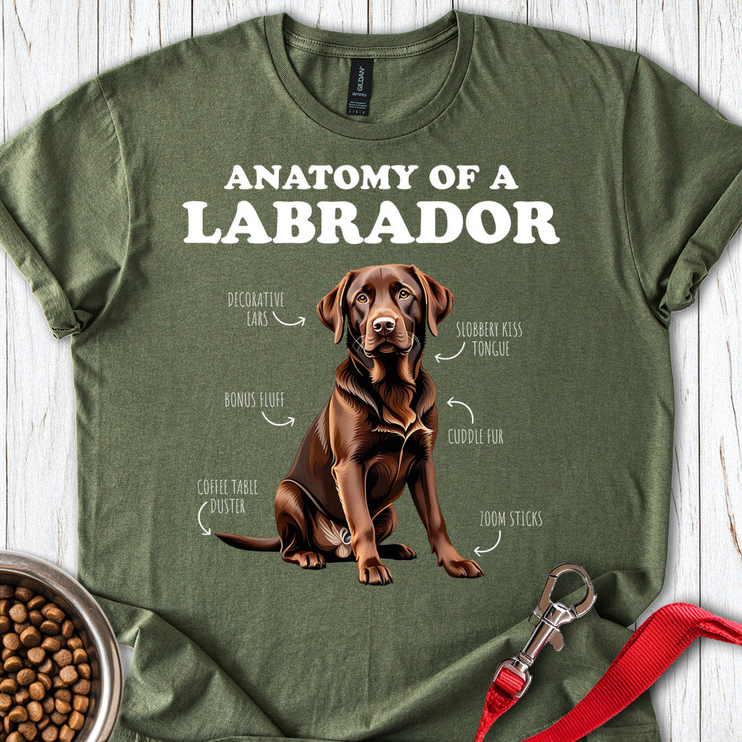 Anatomy Of A Brown Labrador Military Green