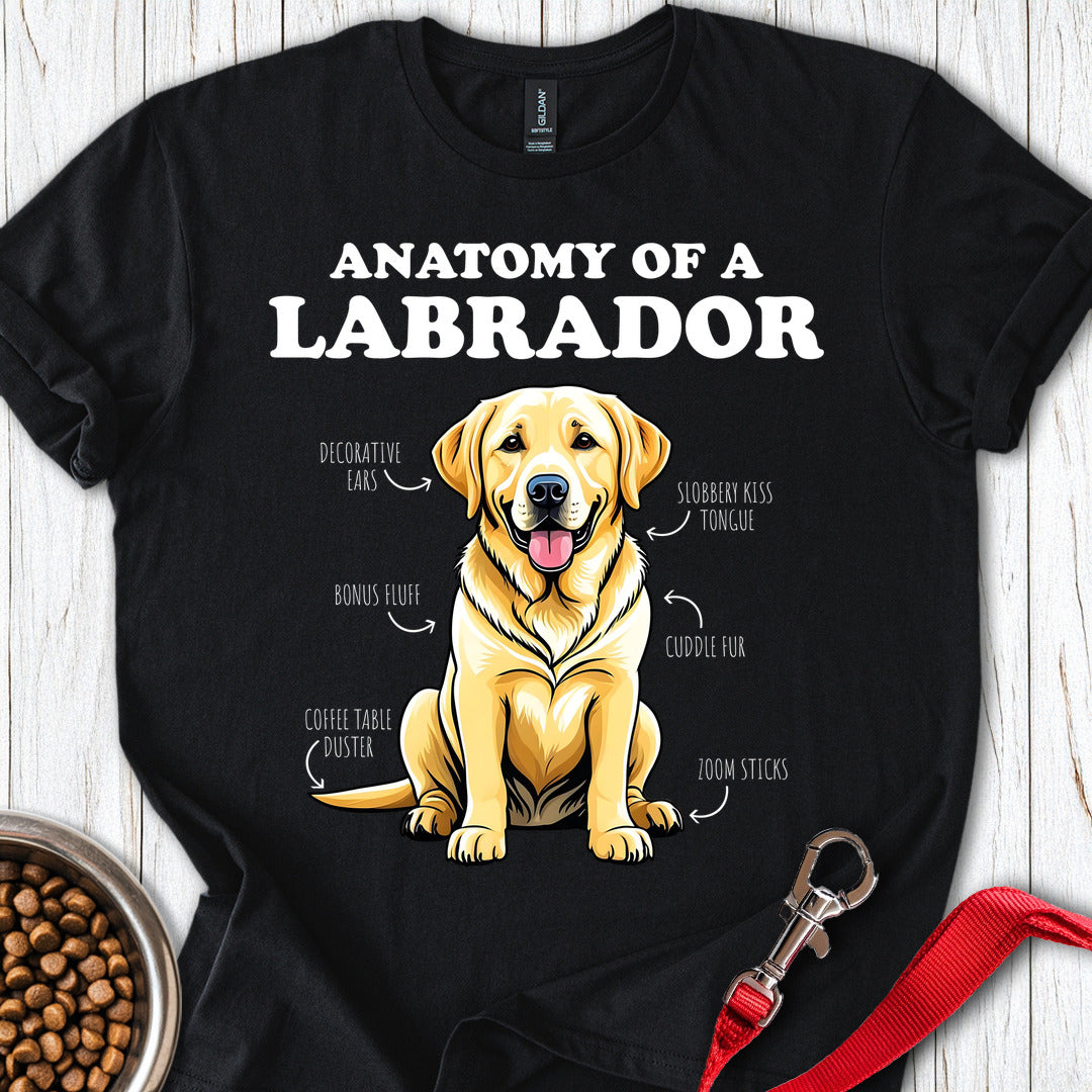 Anatomy Of A Yellow Labrador Black