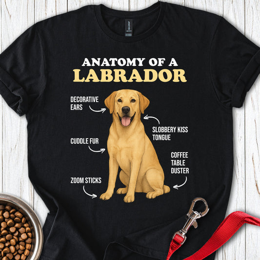 Anatomy of a Yellow Labrador Black