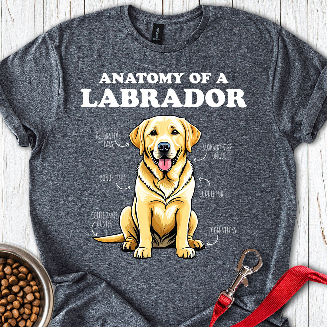 Anatomy Of A Yellow Labrador Dark Heather