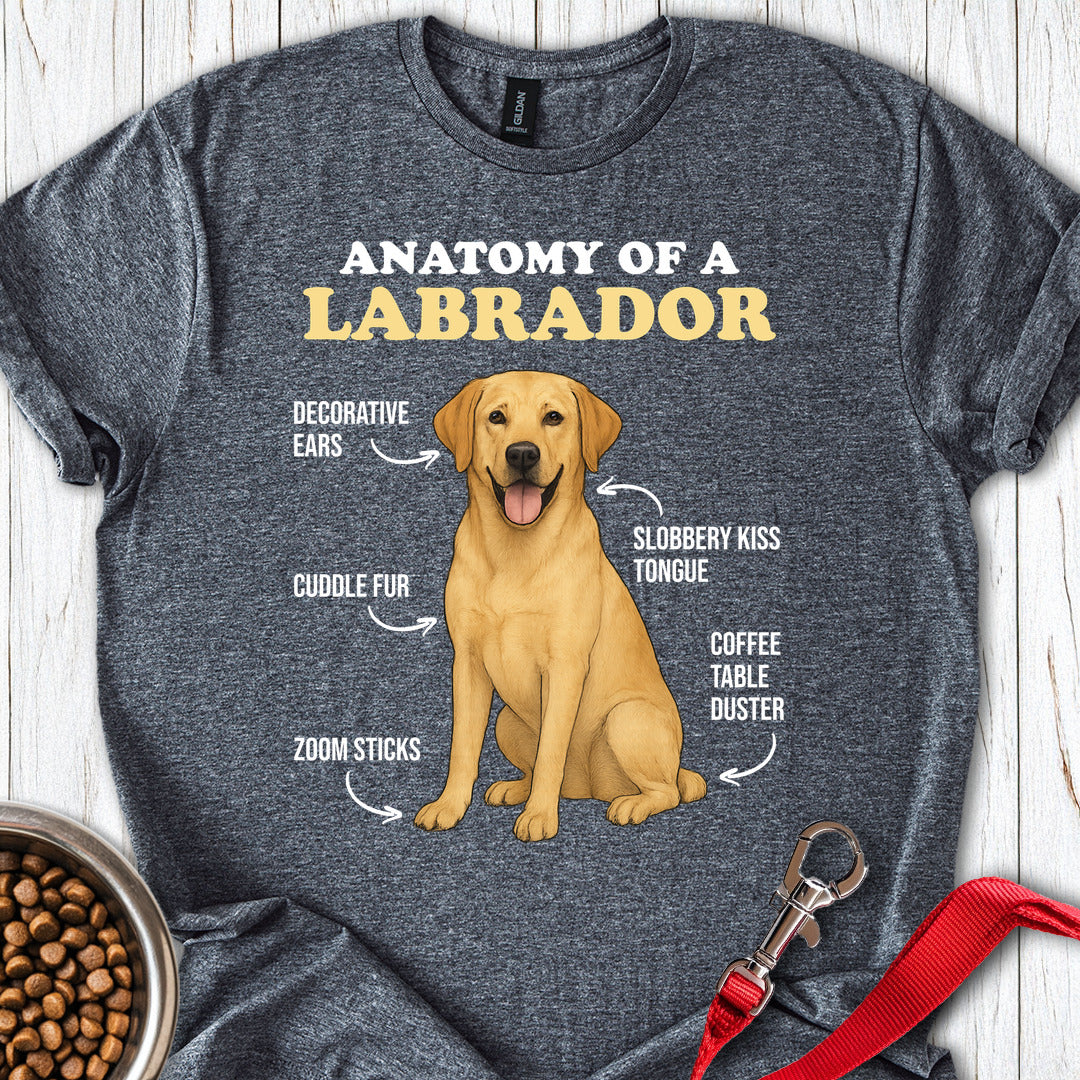 Anatomy of a Yellow Labrador Dark Heather