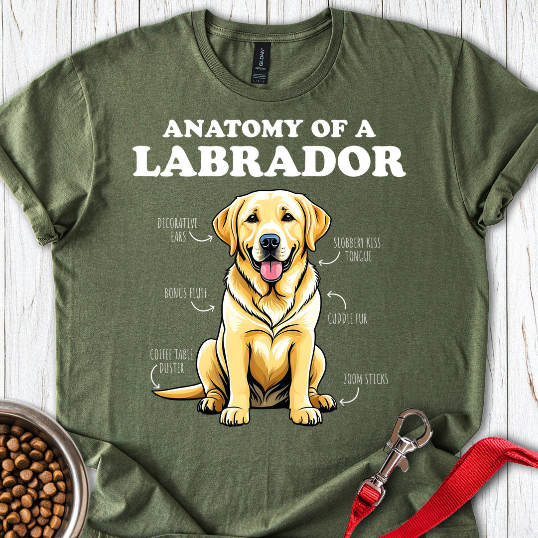 Anatomy Of A Yellow Labrador Military Green
