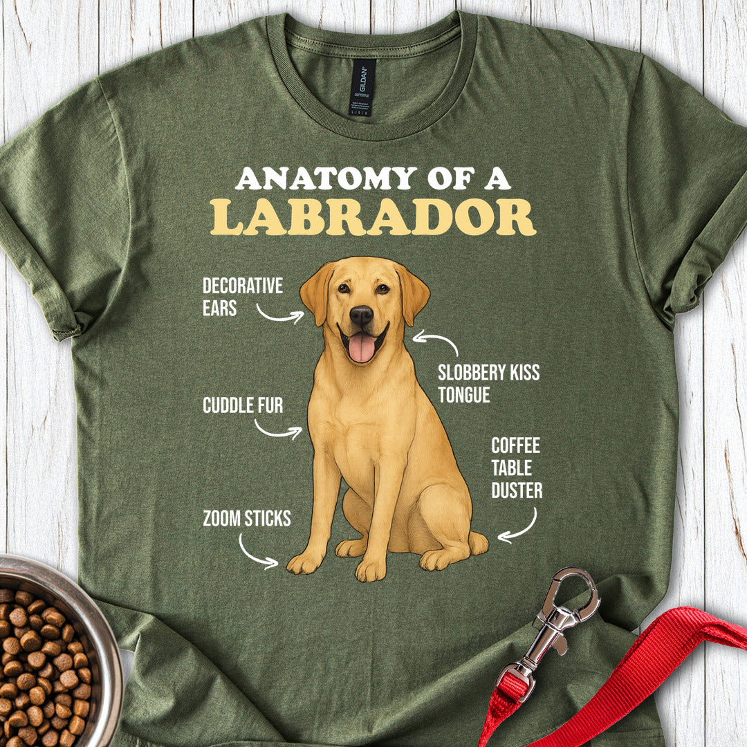 Anatomy of a Yellow Labrador Military Green